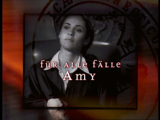 Für alle Fälle Amy